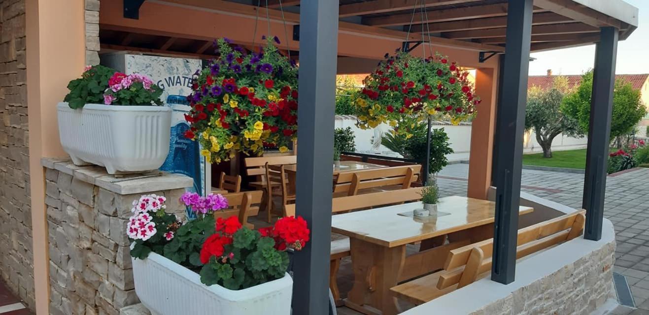 Villa Dalmatina Zadar Bagian luar foto